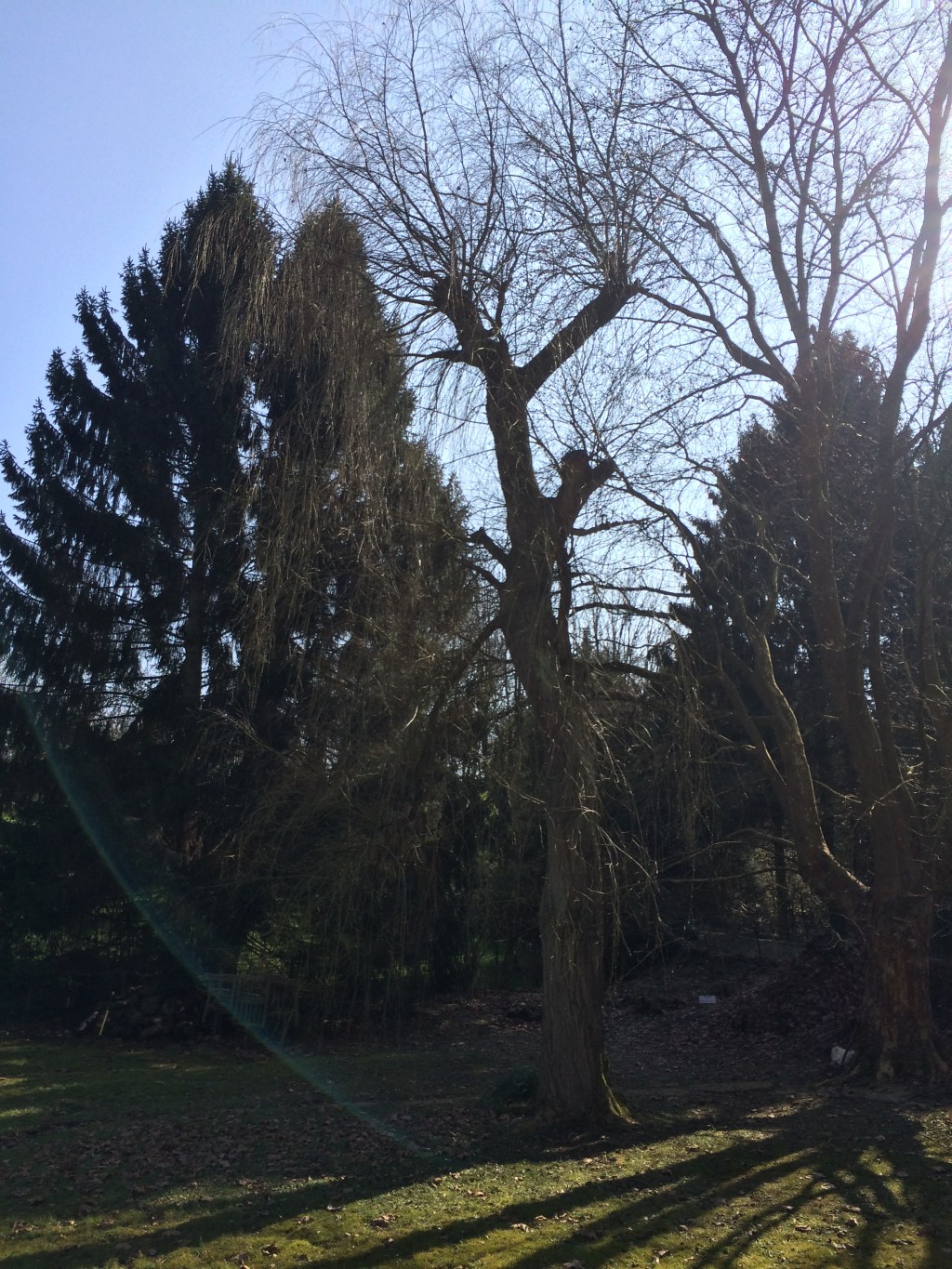 L&rsquo;analyse de notre&nbsp;situation