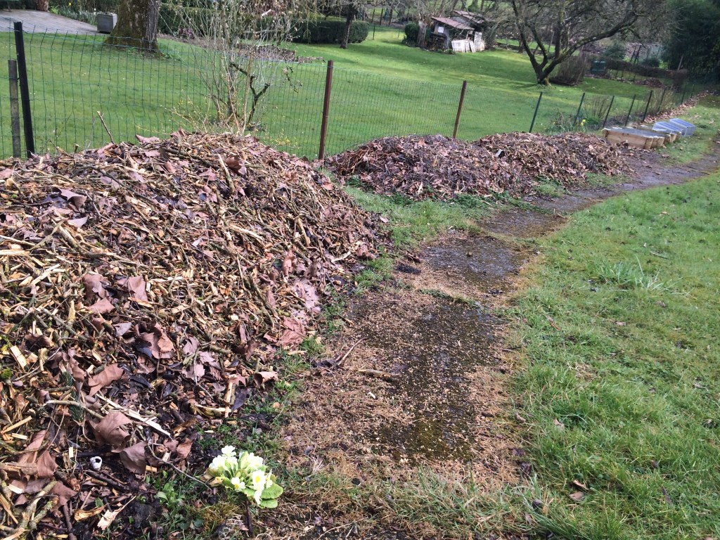 Les règles de&nbsp;base