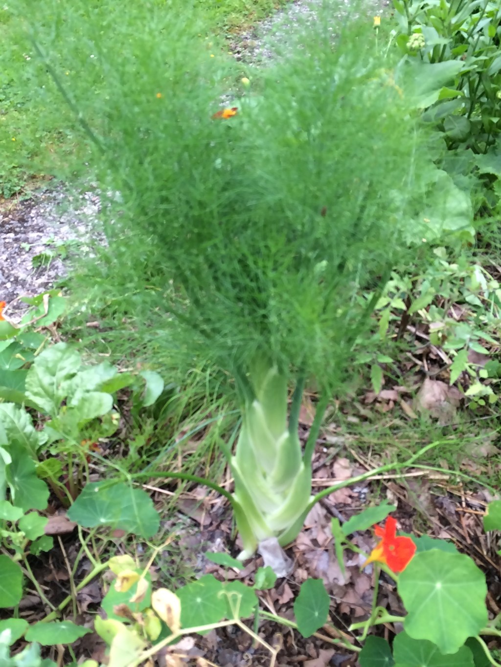 Fin juillet: malgré la pluie&nbsp;!