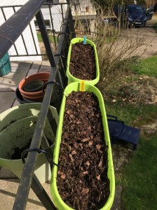 Comment semer efficacement pour prépare la saison?