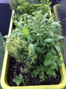 Avoir des condiments près de la cuisine