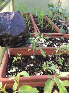 Fabrication du petit chauffage naturel