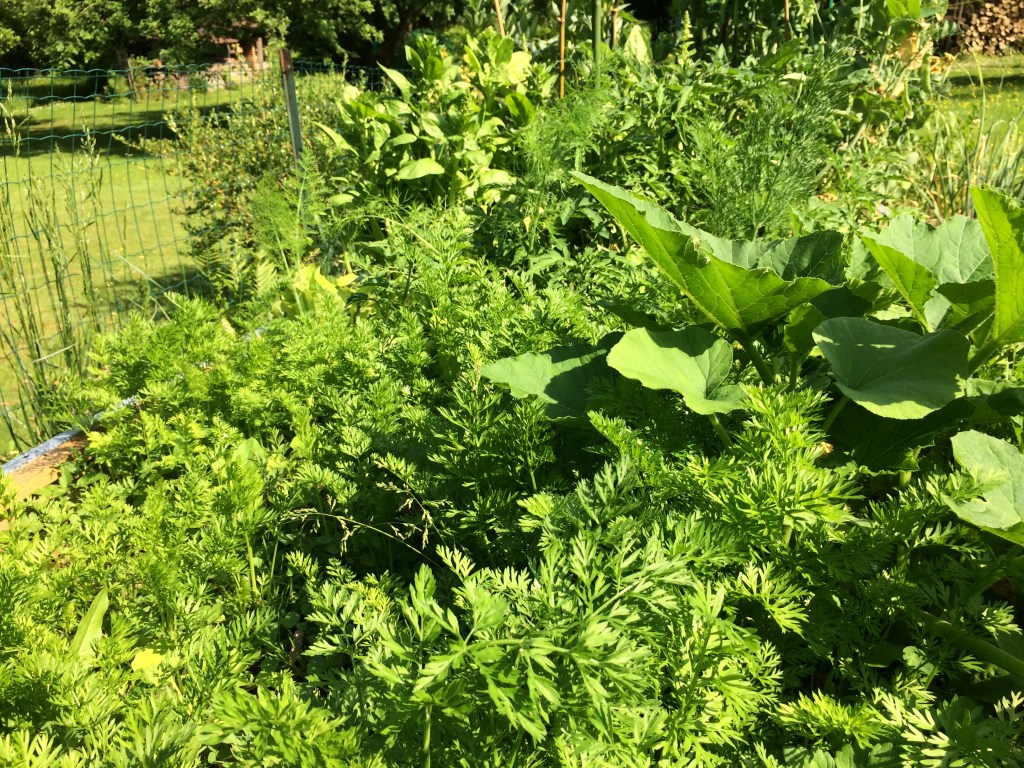 28 Mai 2017 – bilan de printemps