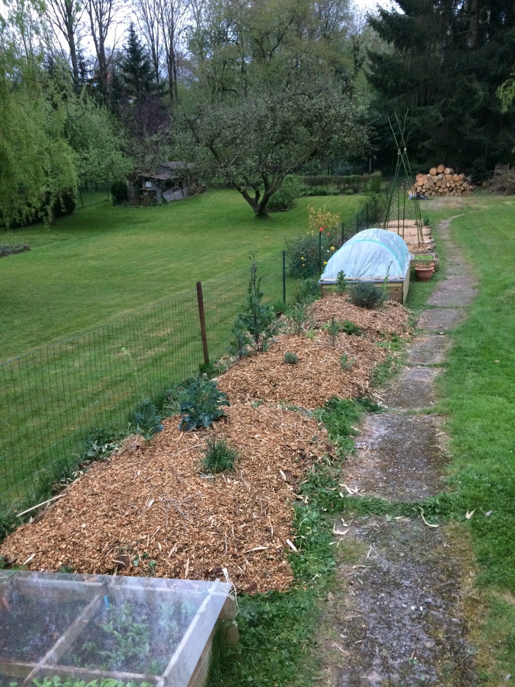 Comparaison entre buttes, bacs à légumes et carrés: mes conclusions