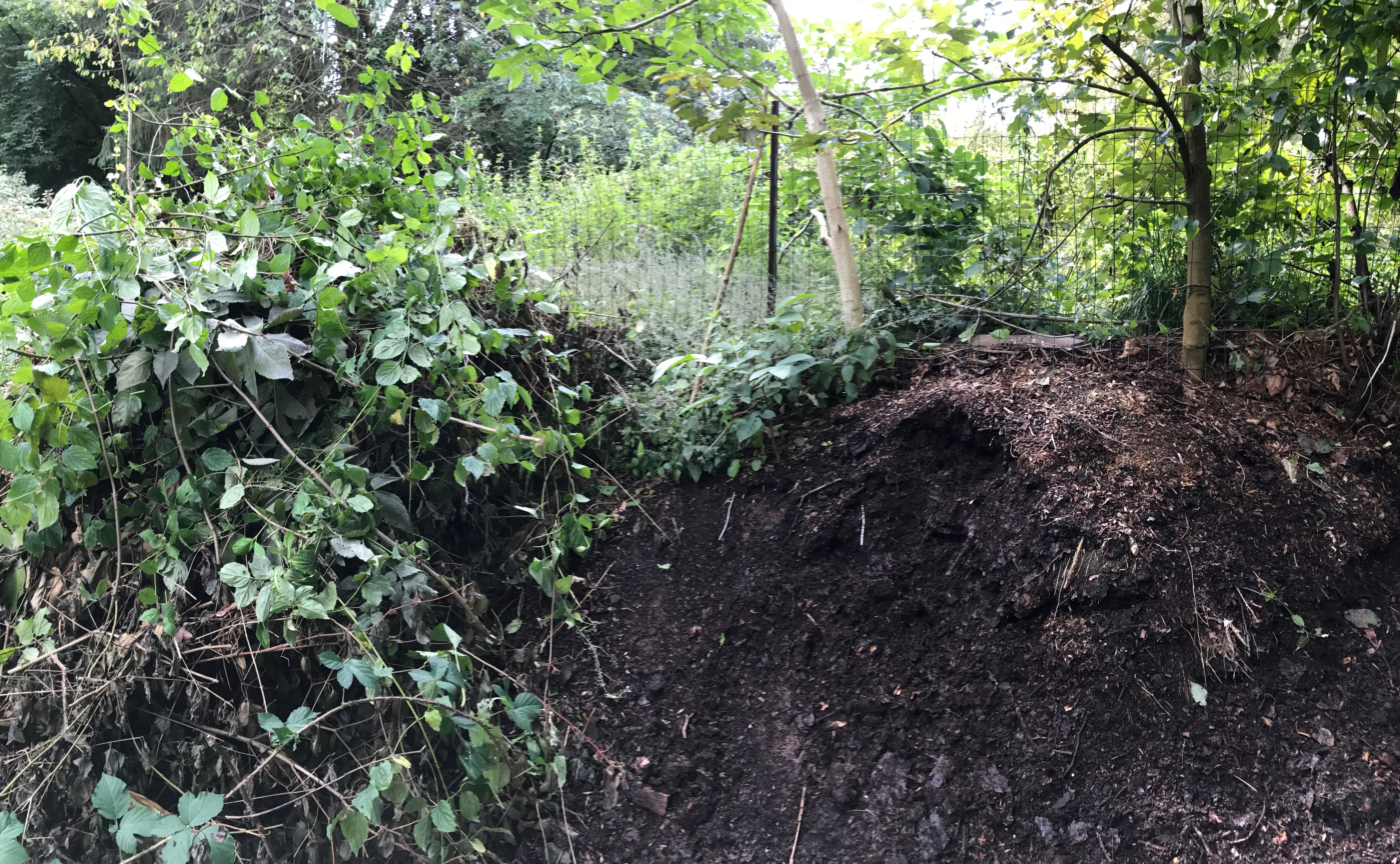 Compost de cette annee et de un an