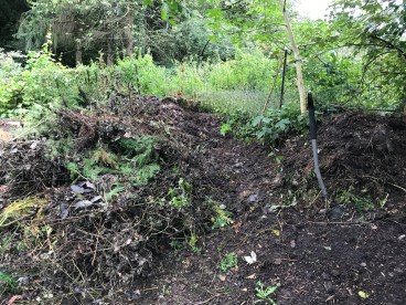 Debut_Deplacement_compost_1 an