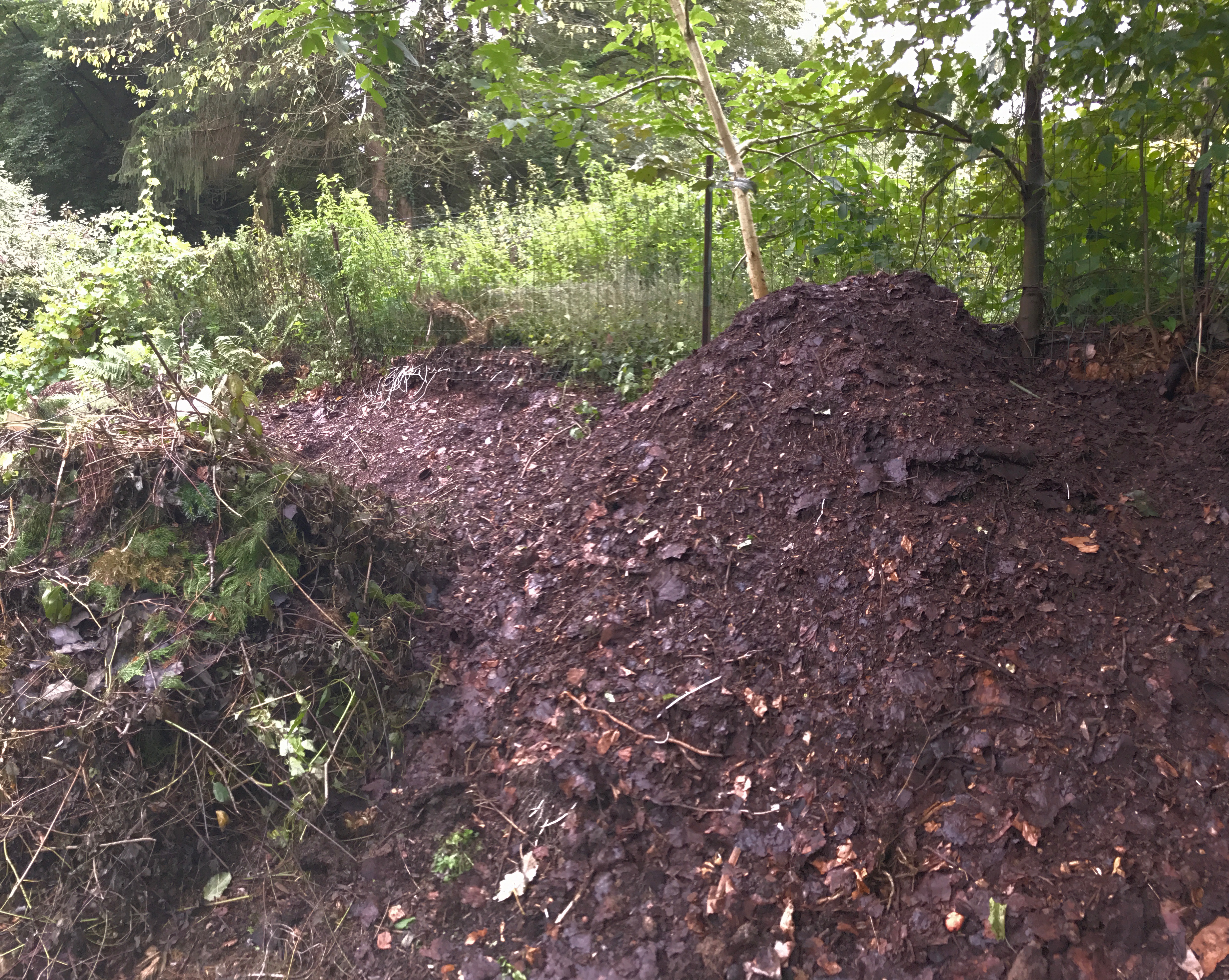 Le compost de un an a ete deplace