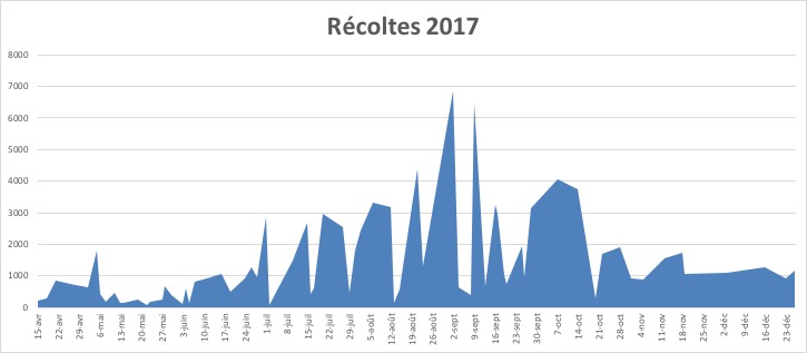 Bilan 2017