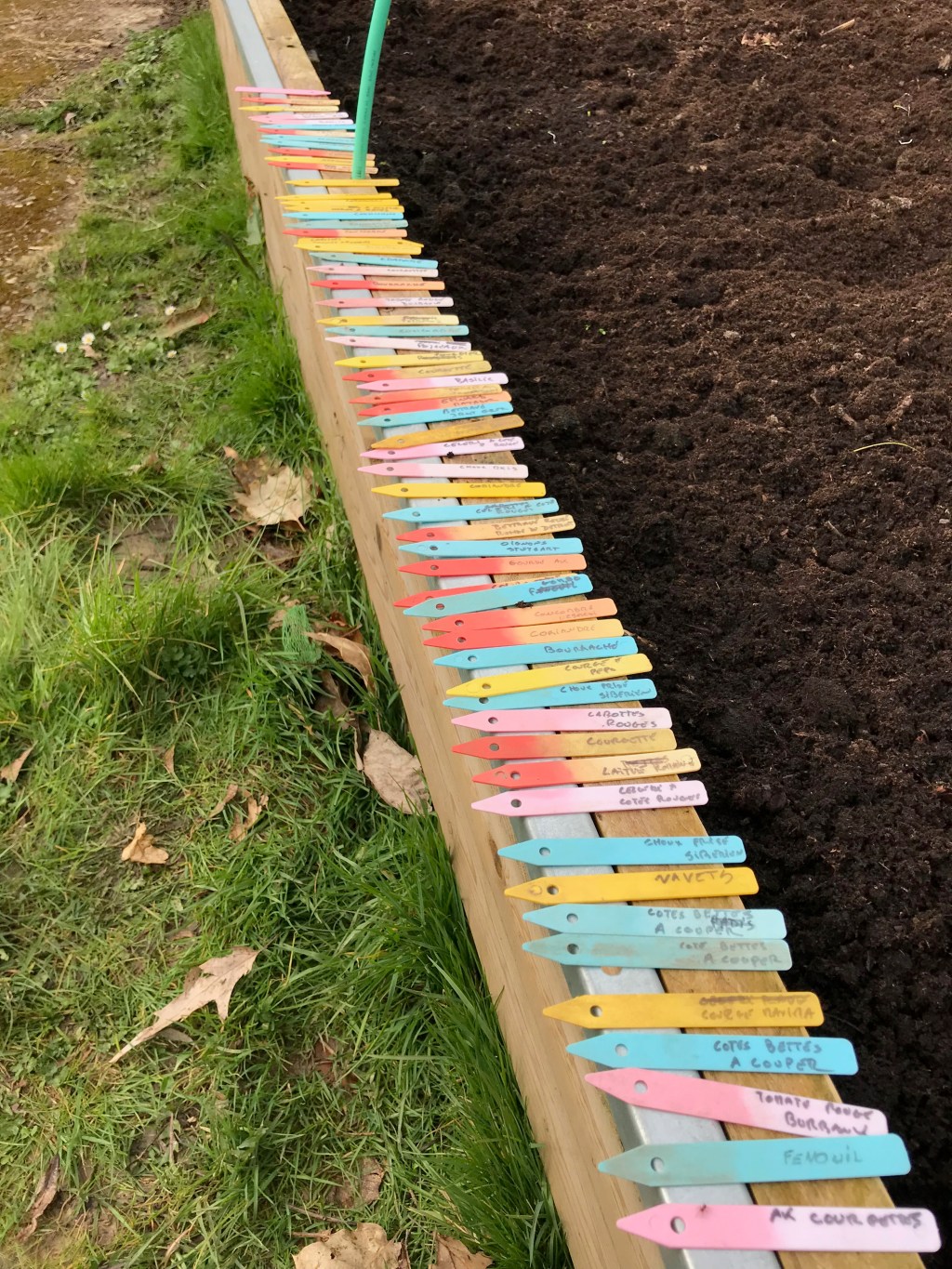 Semis 2018 – techniques, méthodes et&nbsp;résultats