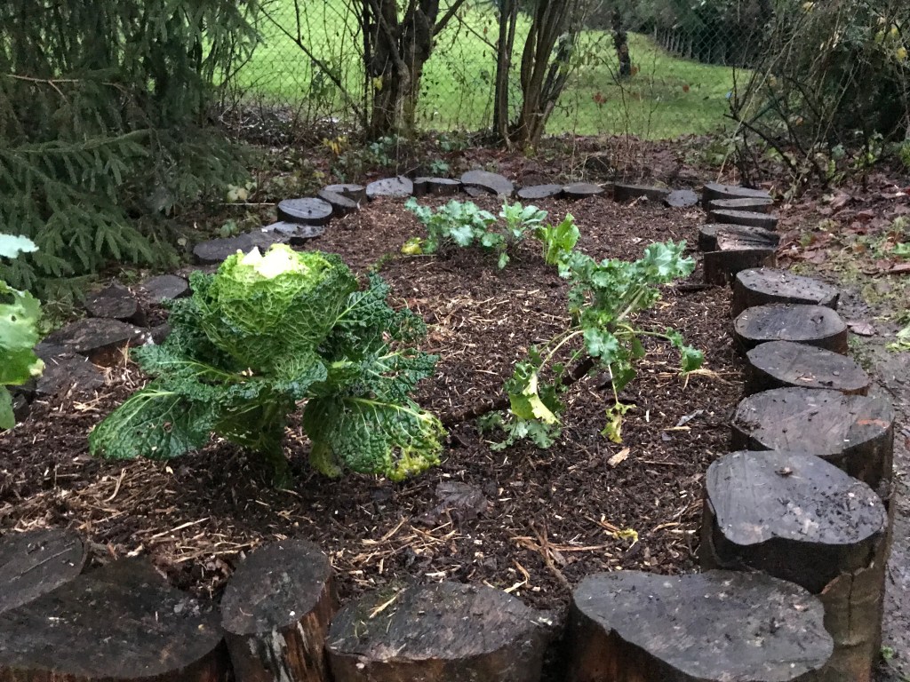 Travaux d&rsquo;hiver – utiliser ce qui est à&nbsp;disposition