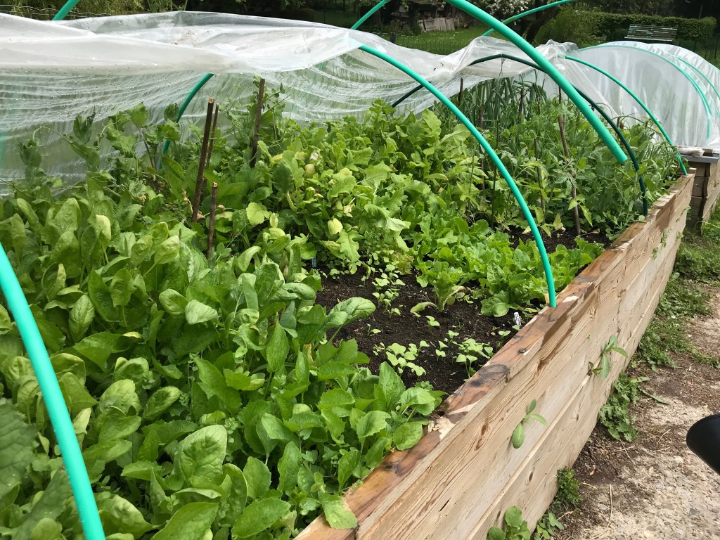 7 conseils pour créer de l&rsquo;abondance